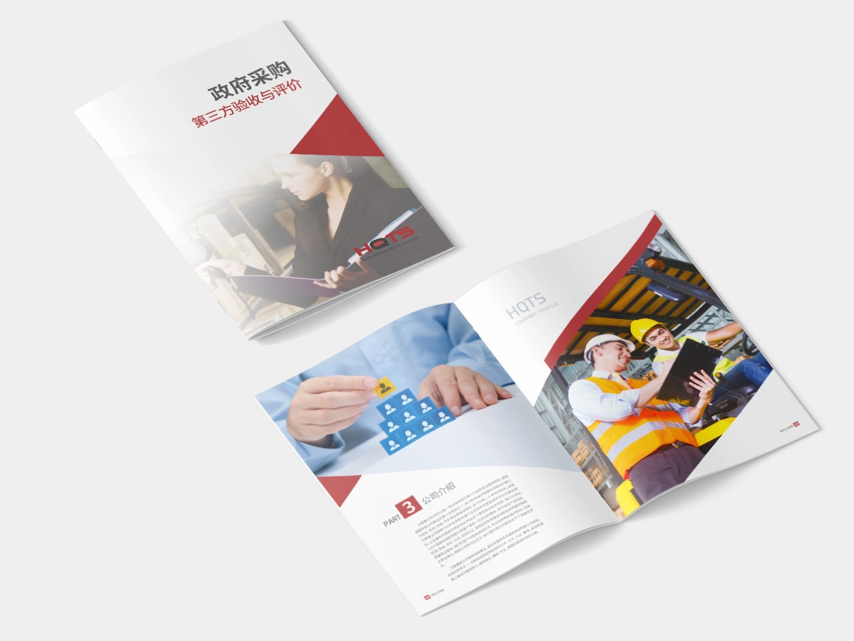 汉斯曼政府评价报告 (2)