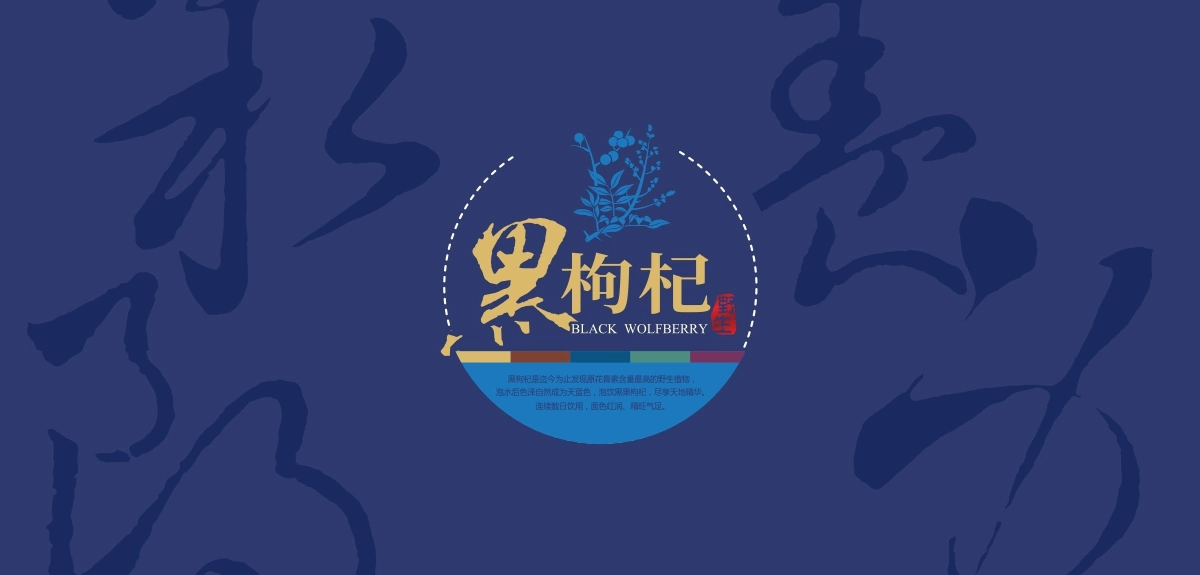 黑枸杞 (3)