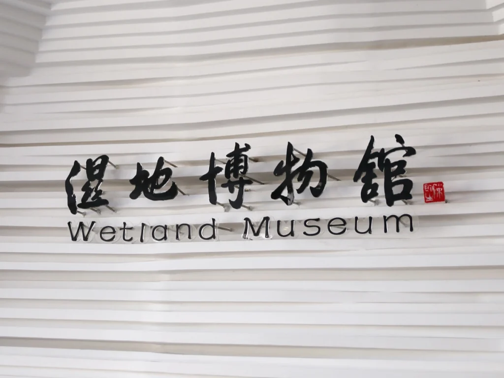 湿地博物馆 (1)