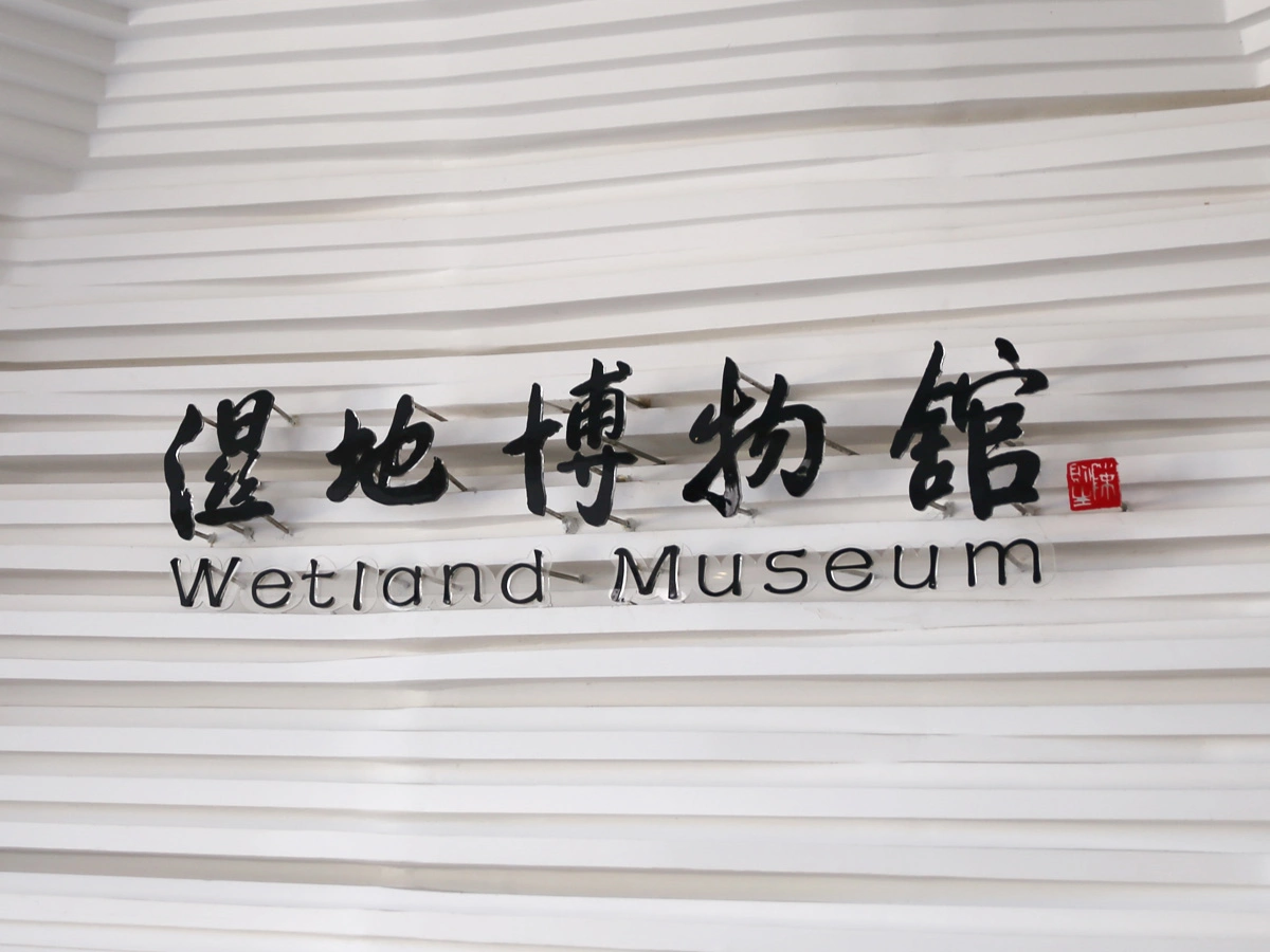 湿地博物馆 (1)