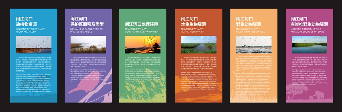 湿地博物馆 (2)