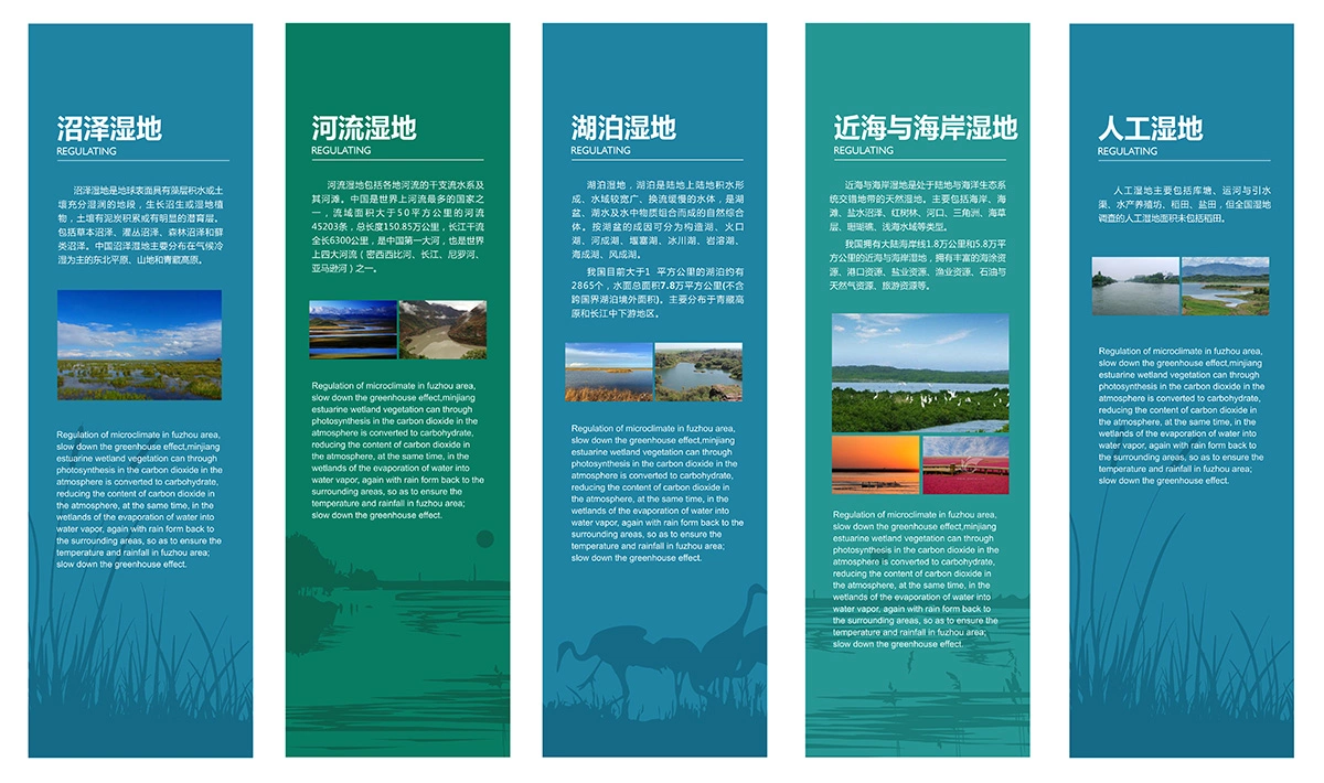 湿地博物馆 (3)